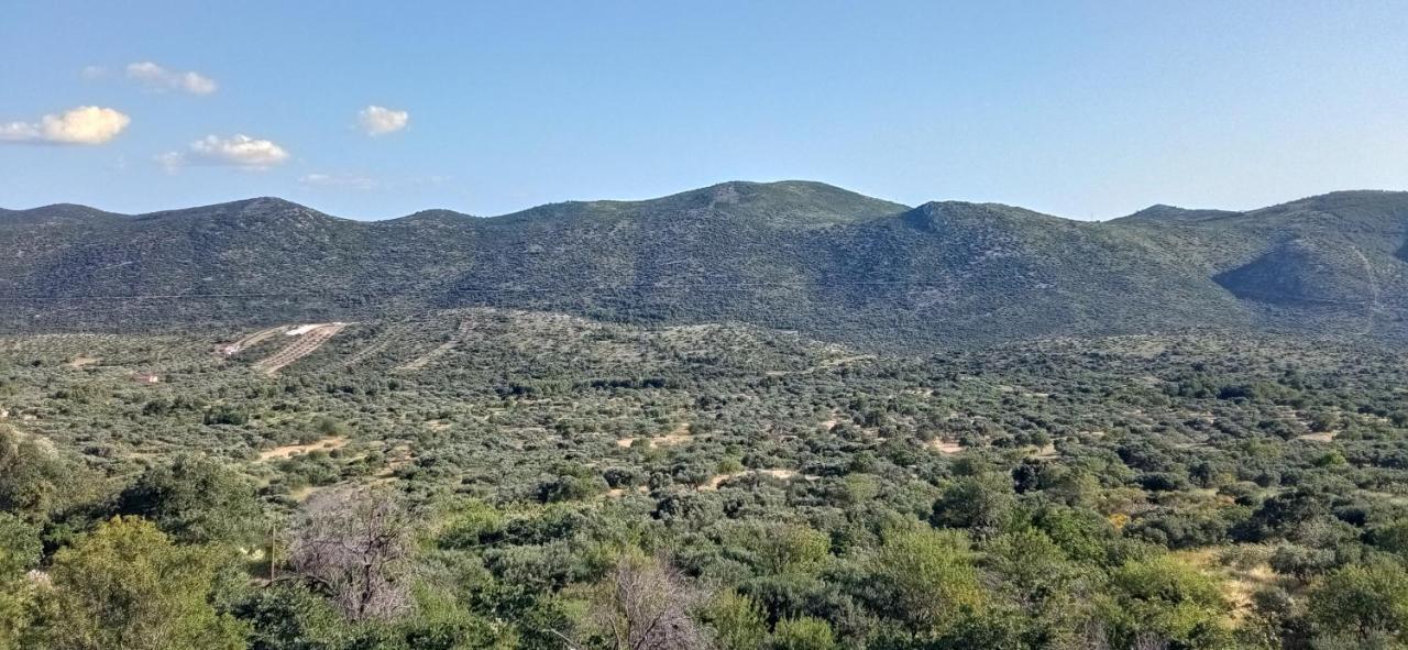 Holiday Home Peran Grebaštica Εξωτερικό φωτογραφία